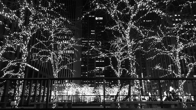 纽约市 圣诞节 冬天 - 上的免费照片