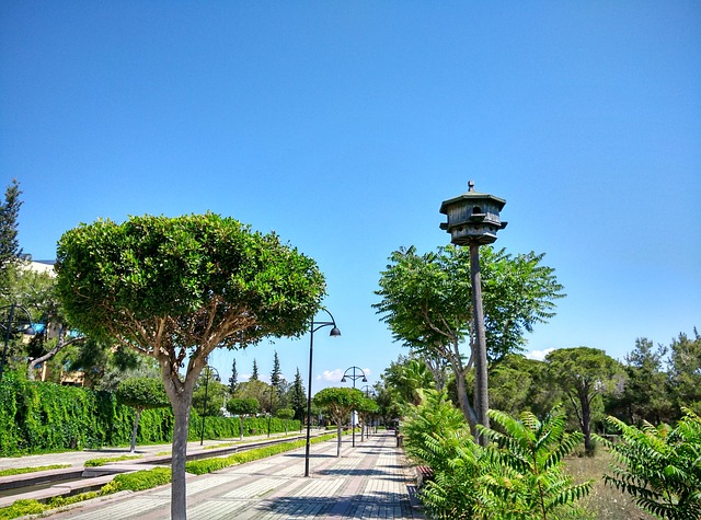 Manavgat 复杂的酒店 路 - 上的免费照片