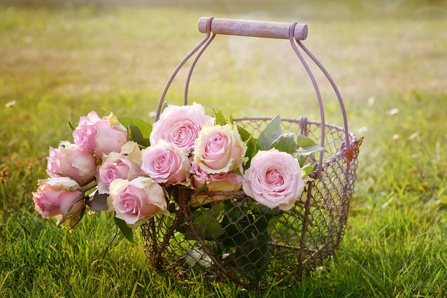 玫瑰 花朵 篮子 - 上的免费照片