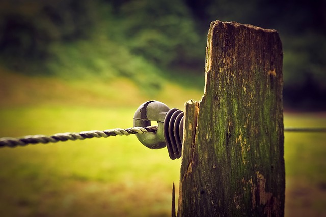 栅栏 木头 自然 - 上的免费照片