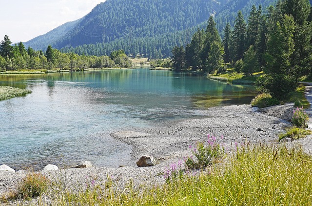 高山湖泊 阿尔卑斯山 恩加丁 - 上的免费照片