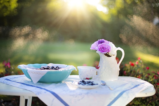 蓝莓 早餐 阳光 - 上的免费照片