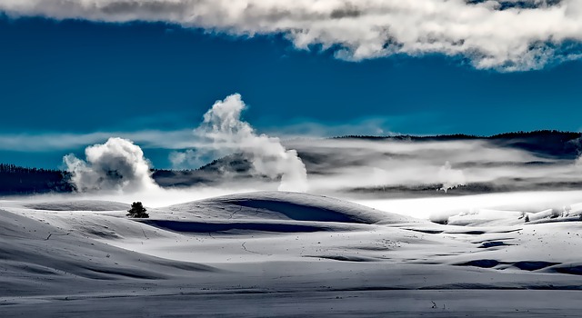 黄石国家公园 雪 领域 - 上的免费照片
