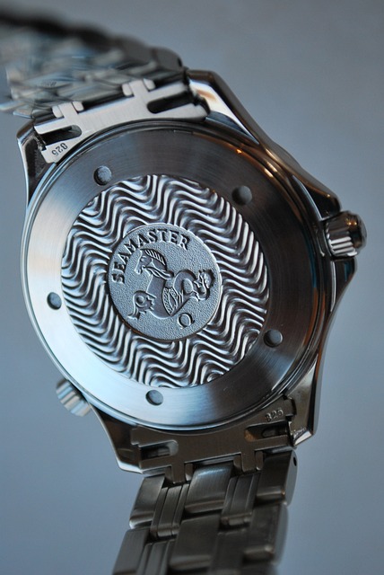 欧米茄 海王 瑞士 - 上的免费照片