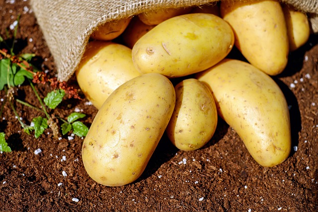 土豆 蔬菜 块茎 - 上的免费照片