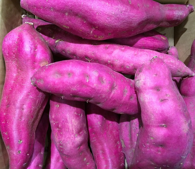 甘薯 紫色的 声优 - 上的免费照片
