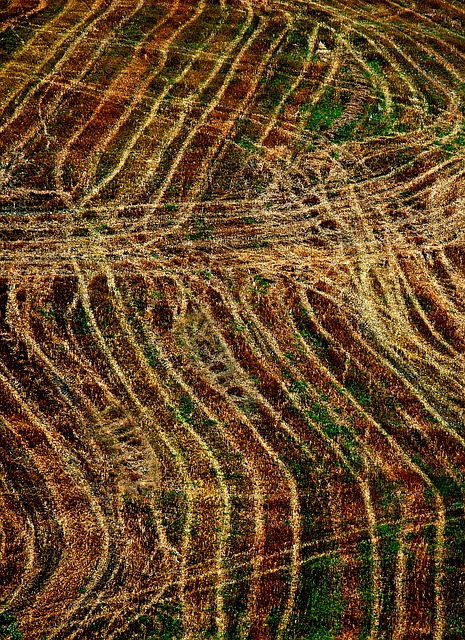 场地 犁过的 犁沟 - 上的免费照片
