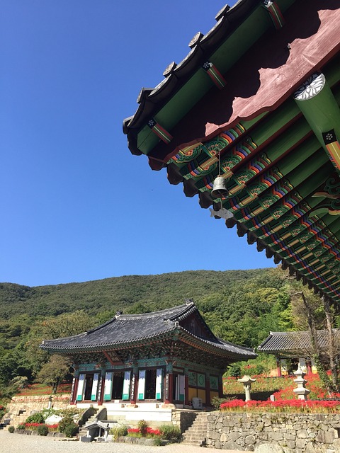 大自然 佛 石阶 - 上的免费照片
