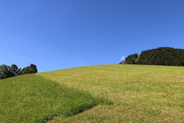 萨尔茨堡 Gaisberg - 上的免费照片