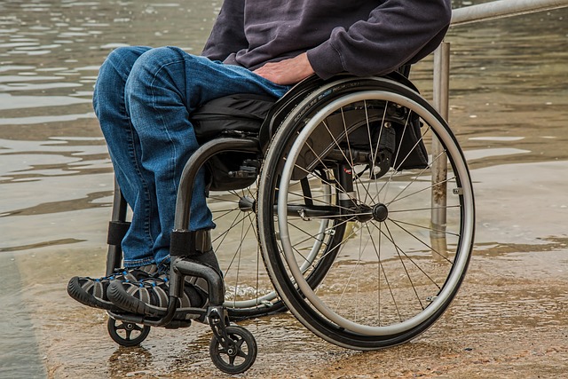 轮椅 失能 截瘫 - 上的免费照片