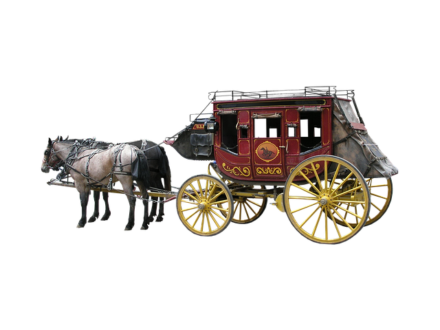 驿马车 孤立 马 - 上的免费照片