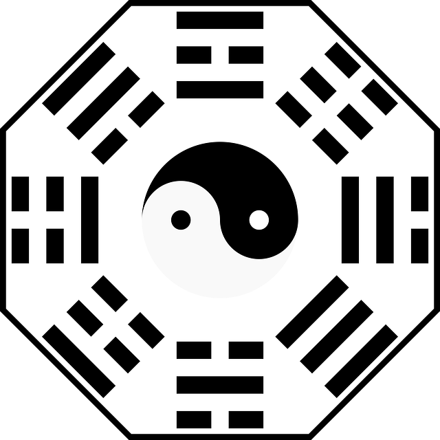 八卦 阴阳 杨 - 免费矢量图形