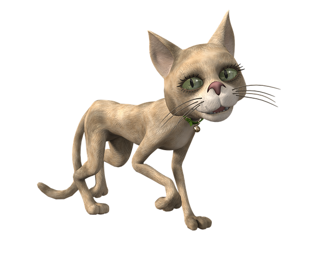 香椿 猫 乐趣 - 上的免费图片