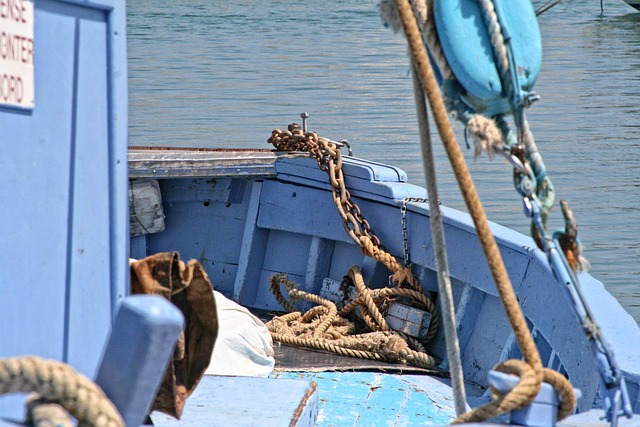 法国 普罗旺斯 无功 - 上的免费照片