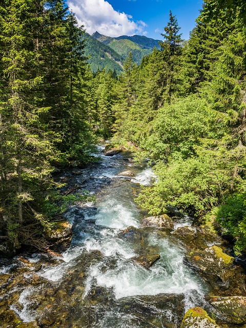 瀑布 山 流动 - 上的免费照片