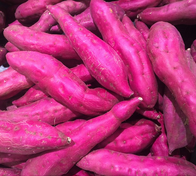 甘薯 红紫色 蔬菜 - 上的免费照片