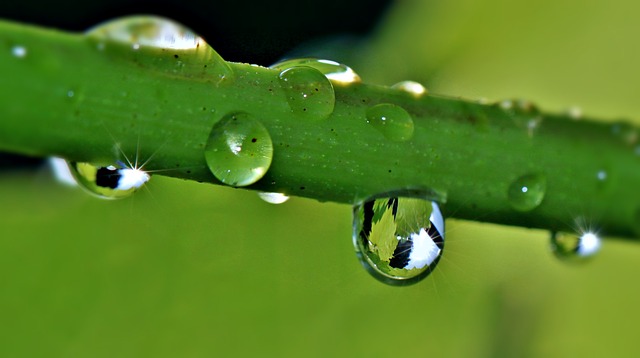 滴 雨滴 水滴 - 上的免费照片