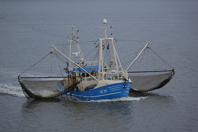 蟹刀 海 北海 - 上的免费照片