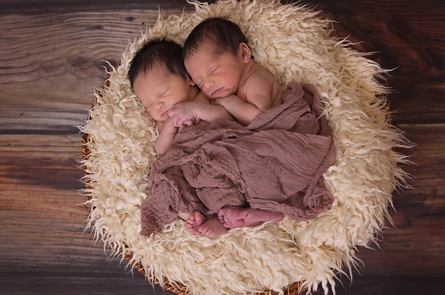 双胞胎 婴儿 新生 - 上的免费照片