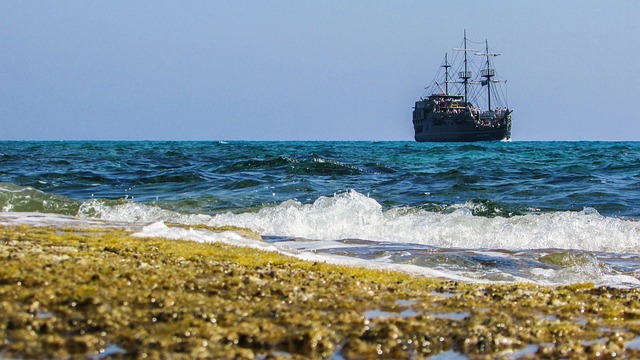 石滩 海浪 海 - 上的免费照片