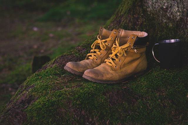 靴子 鞋 苔藓 - 上的免费照片