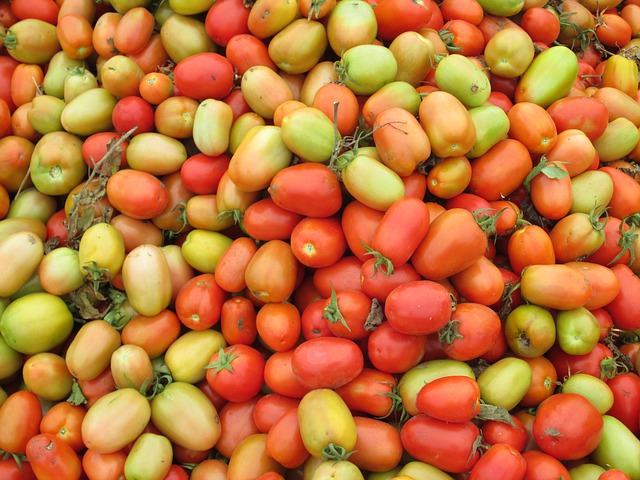 西红柿 红色的 绿色 - 上的免费照片
