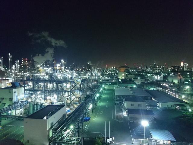植物 夜景 - 上的免费照片