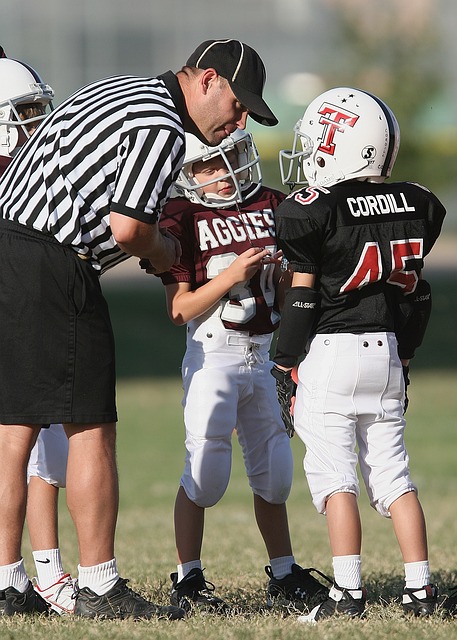 足球游戏 裁判 球员 - 上的免费照片