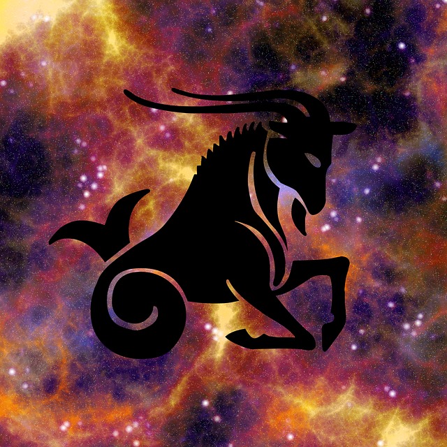 生肖 星座运势 占星术 - 上的免费图片
