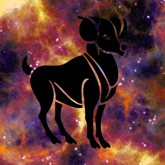 生肖 星座运势 占星术 - 上的免费图片