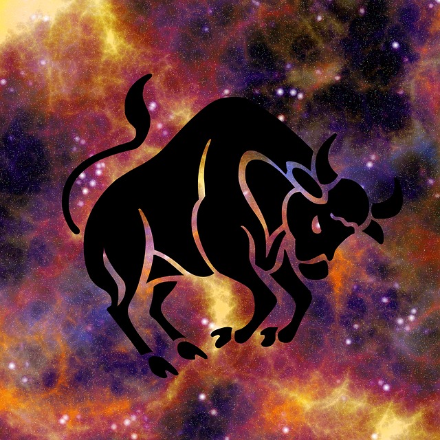 生肖 星座运势 占星术 - 上的免费图片