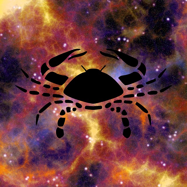生肖 星座运势 占星术 - 上的免费图片