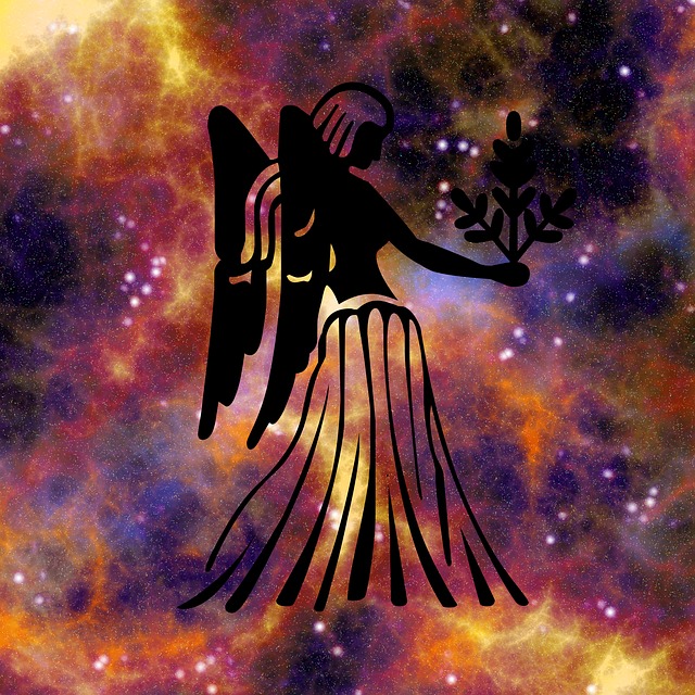 生肖 星座运势 占星术 - 上的免费图片