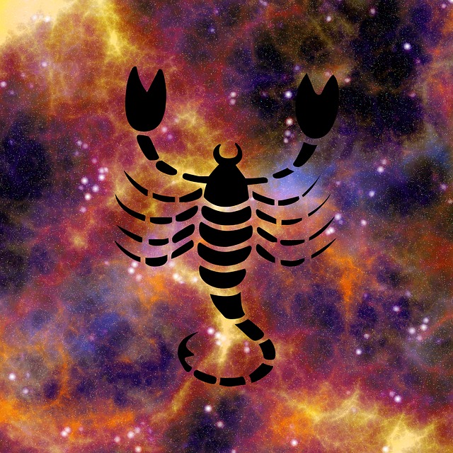 生肖 星座运势 占星术 - 上的免费图片