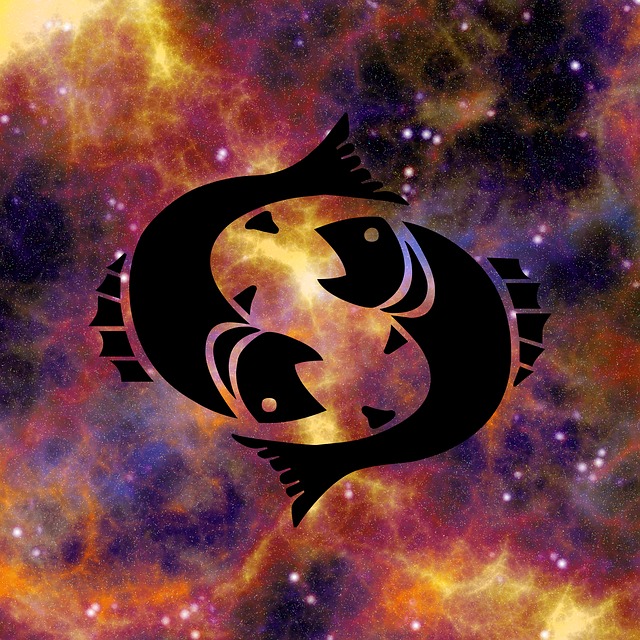 生肖 星座运势 占星术 - 上的免费图片