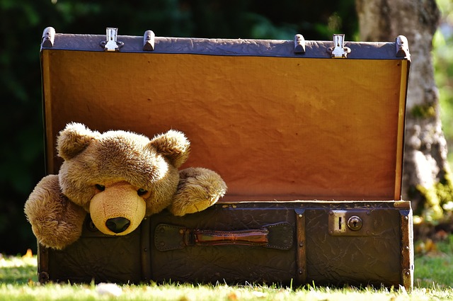 手提箱 古董 泰迪熊 - 上的免费照片
