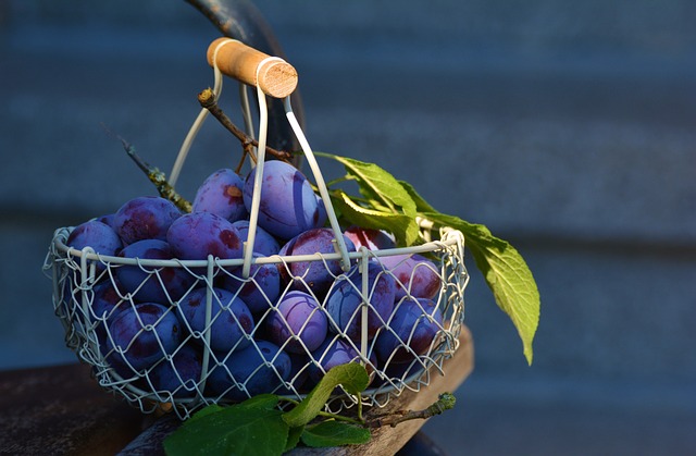 李子 水果 篮子 - 上的免费照片