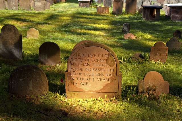 墓地 挖 坟墓 - 上的免费照片