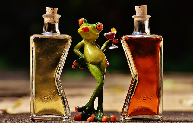 青蛙 小鸡 饮料 - 上的免费照片