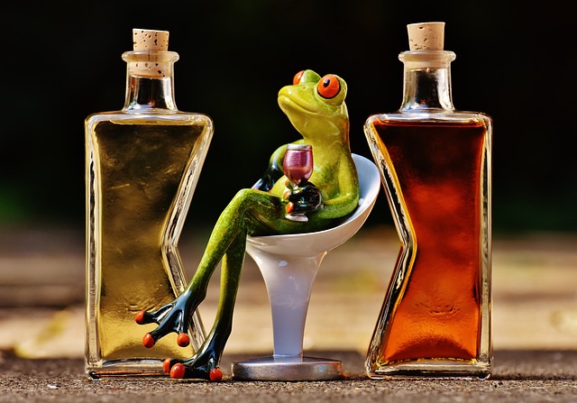 青蛙 小鸡 饮料 - 上的免费照片
