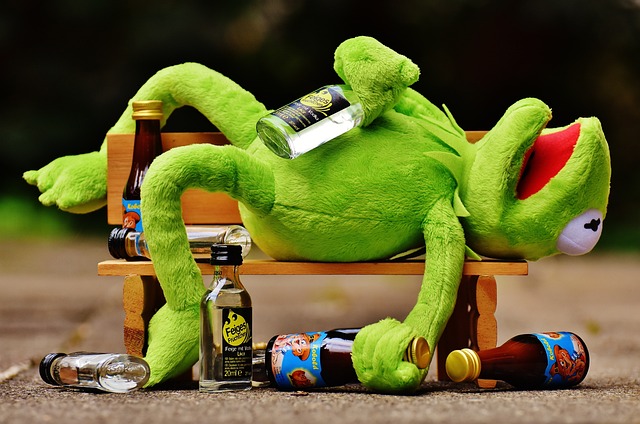 克米特 青蛙 喝 - 上的免费照片