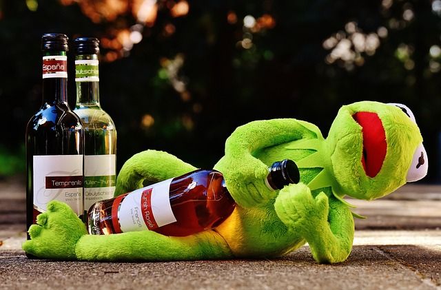 克米特 青蛙 葡萄酒 - 上的免费照片