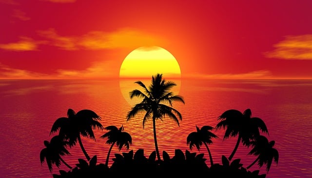 日落 棕榈树 剪影 - 上的免费图片