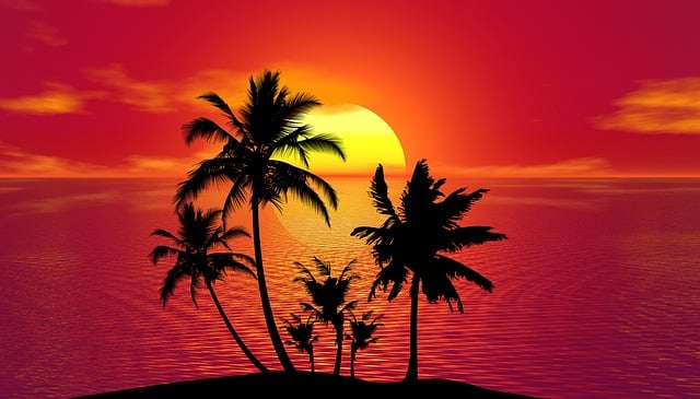 热带 海滩 日落 - 上的免费图片