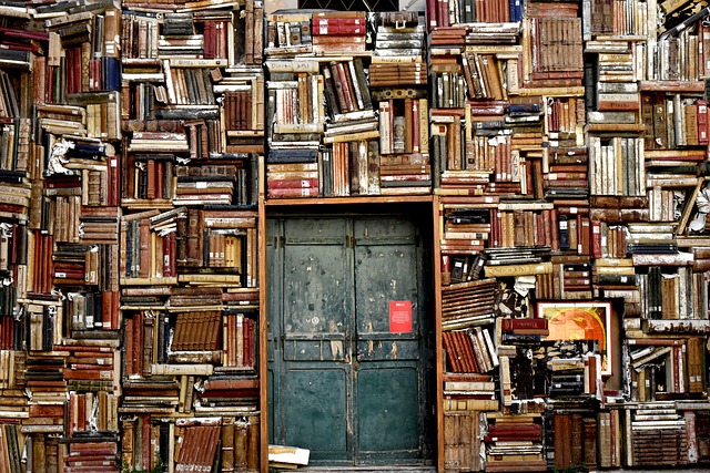 图书 货架 门 - 上的免费照片