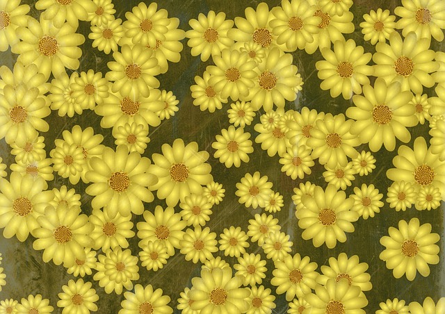 花朵 花的 植物 - 上的免费图片