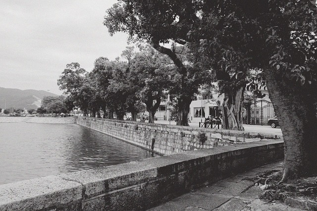 澳門 西灣 - 上的免费照片