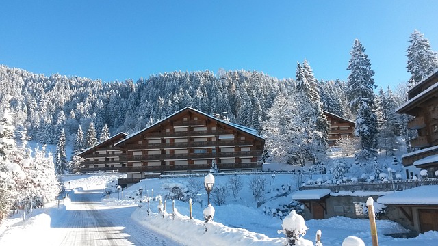 Villars-Sur-Ollon 沃德 - 上的免费照片