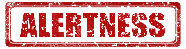 细心 注意力 警惕的 - 上的免费图片