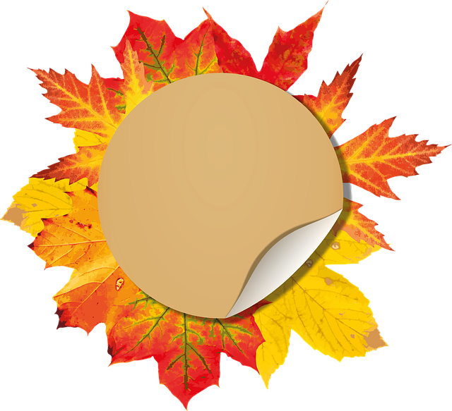 按钮 落下 减少 - 上的免费图片